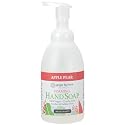Ginger Lily Farms Botanicals All-Purpose Foaming Hand Soap Refill, 100% Vegan & Cruelty-Free, Apple Pear Scent, 20 Fl Oz (Pack of 1) Beauty & Personal Care Ginger Lily Farms