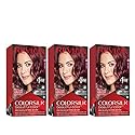 Revlon Permanent Hair Color, Permanent Hair Dye, Colorsilk with 100% Gray Coverage, Ammonia-Free, Keratin and Amino Acids, 48 Burgandy, 4.4 Oz (Pack Beauty & Personal Care REVLON