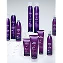 Back To Basics Firm Hold Hair Spray for Unisex, 10 Ounce Beauty & Personal Care Back to Basics