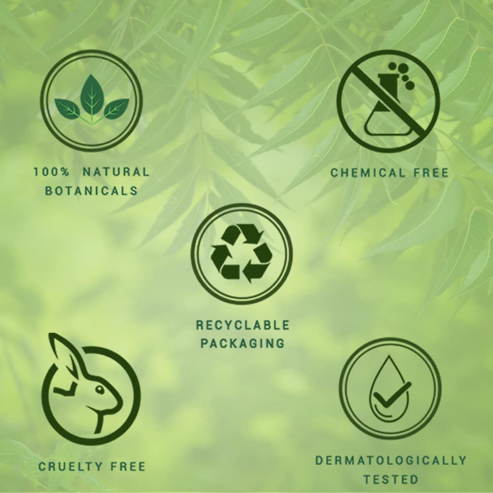 Fresh neem anti dandruff shampoo & conditioner Beauty & Personal Care Biotique