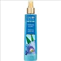 Morning Glory Fragrance Body Mist 8 oz Beauty & Personal Care WEUANY
