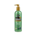 Shikai Borage Lotion Orig Frmla Beauty & Personal Care ShiKai
