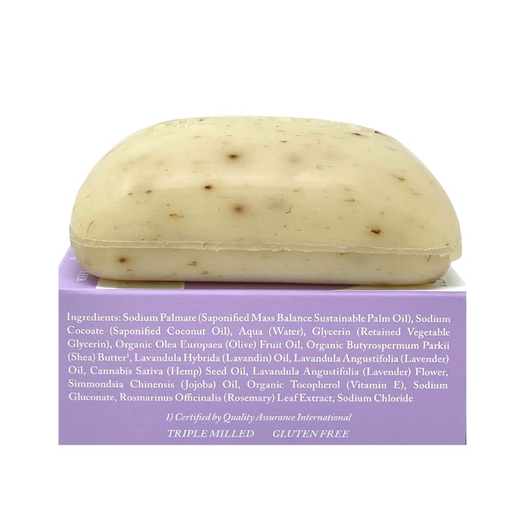 Dr. Woods Exfoliating Lavender Bar Soap with Organic Shea Butter, 5.25 oz (Pack of 6) Beauty & Personal Care Dr. Woods