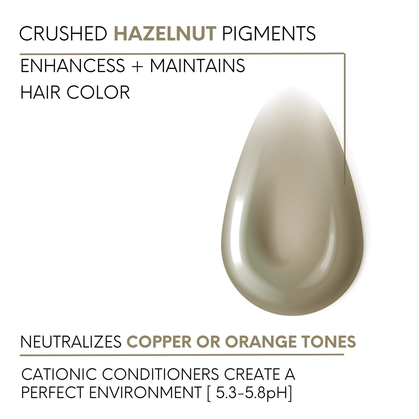 Watercolors Color Depositing Shampoo, Semi Permanent Hair Color 8.5 oz - HAZELNUT Beauty & Personal Care Watercolors