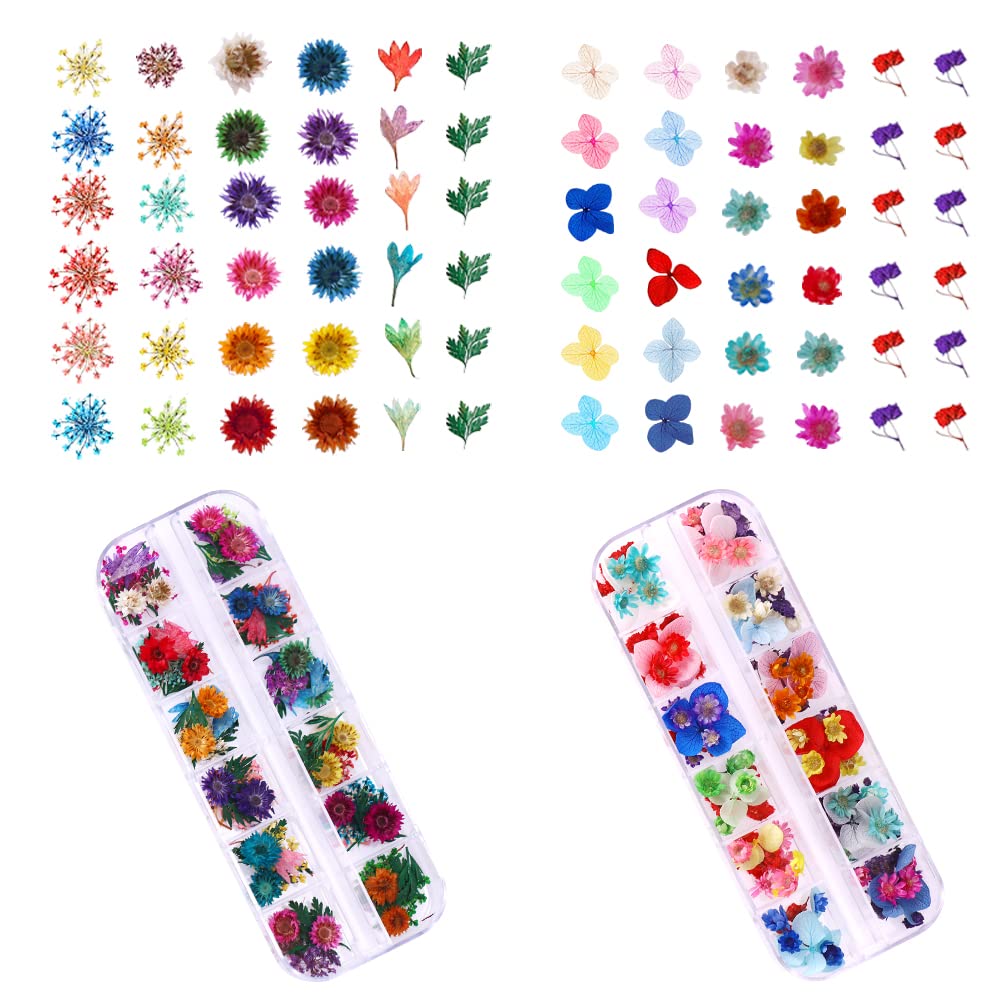 216PCS Dried Flowers - Nail Art Accessories Kits, 57 Color Lovely Natural Dried Flowers for Resin Molds and Nails, YWLI Beauty & Personal Care YWLI