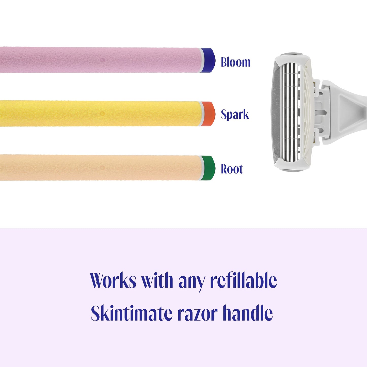 Skintimate 4-Blade Razor Refill Cartridges with Aloe and Vitamin E, 12 Count Beauty and Personal Care Skintimate