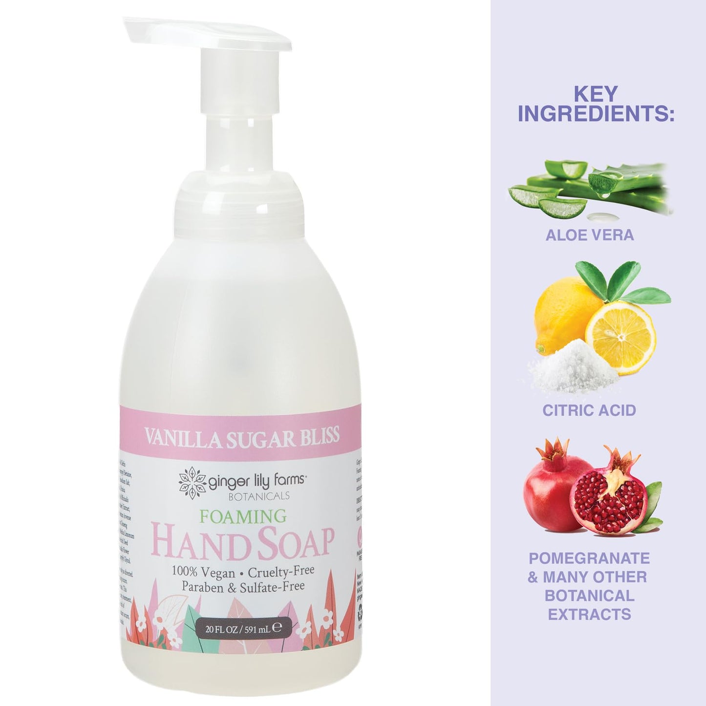 Ginger Lily Farms Botanicals All-Purpose Foaming Hand Soap Refill, 100% Vegan & Cruelty-Free, Vanilla Sugar Bliss Scent, 20 Fl Oz (Pack of 1) Beauty & Personal Care Ginger Lily Farms