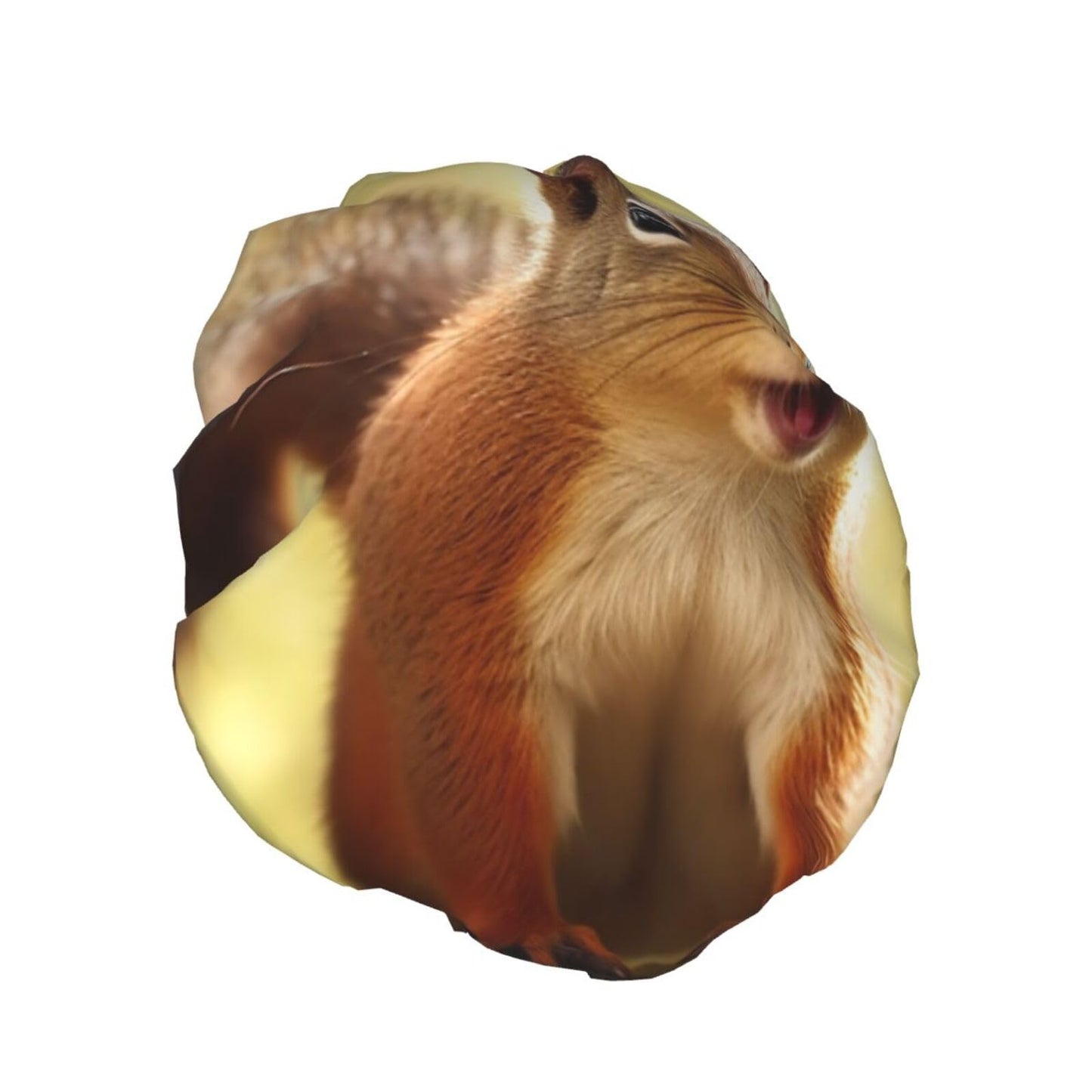 Funny Squirrel Shower Cap for Women Men Large Reusable Shower Bonnet Double-Layer Waterproof Bath Caps Elastic Band Hair Hat for All Hairstyles Beauty and Personal Care BWLHJKE