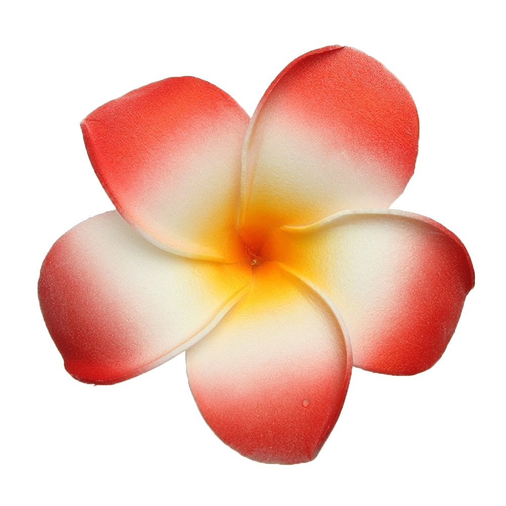 GSHLLO 10 Pcs 7cm Multicolor Hawaiian Hair Clip Beach Foam Flower Headpieces for Wedding Party Accessories Beauty & Personal Care FSSTUD