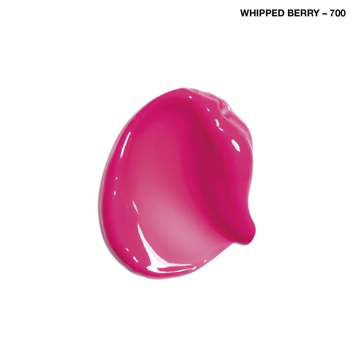 COVERGIRL Colorlicious Gloss Whipped Berry 700, .12 oz (packaging may vary) Beauty & Personal Care COVERGIRL