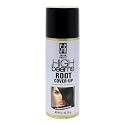 Salon Grafix High Beams Root Cover-Up Temporary Spray - Salon-Quality Spray Hair Dye - Washable Black Hair Dye - Temporary Hair Color - Black - 2.7 oz Beauty & Personal Care Salon Grafix