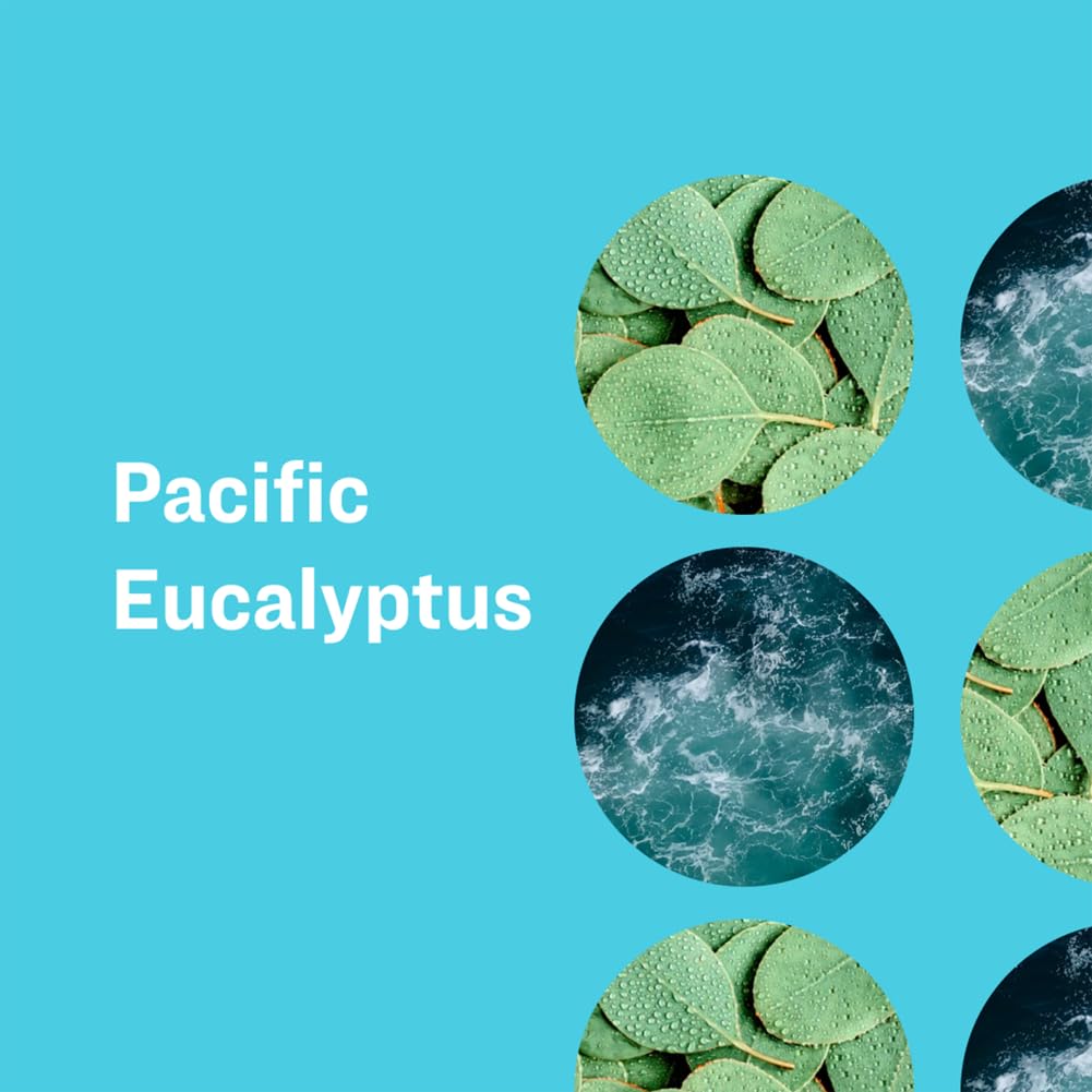 SOAP PACIFIC EUCALYPTUS Beauty & Personal Care everyone for every body
