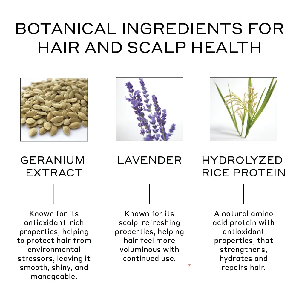 ZENAGEN Volume Foam | Lightweight Densifier + Volumizer, Boosts Hair Volume & Thickness, Provides Lightweight Hold, Nourishes & Strengthens Hair Beauty & Personal Care Zenagen