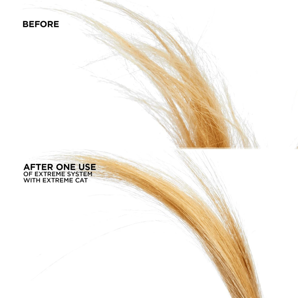 Redken Extreme CAT Treatment - For Distressed Hair, 6.8 Fl Oz