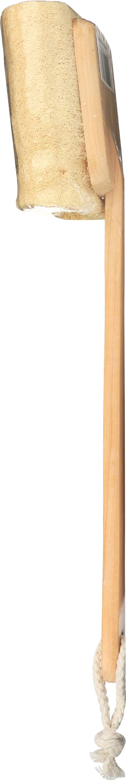 Earth Therapeutics, Brush Back Loofah, 1 Each Beauty and Personal Care Earth Therapeutics