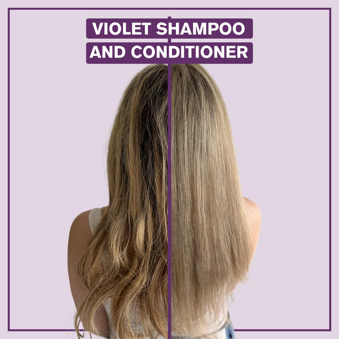 Alcôve - Violet Shampoo & Conditioner Duo - Blonde and Colored Hair - Sulfate-Free - Neutralize Yellow and Brassy Tones - Evening Primrose Oil - Mango Beauty & Personal Care Alcove