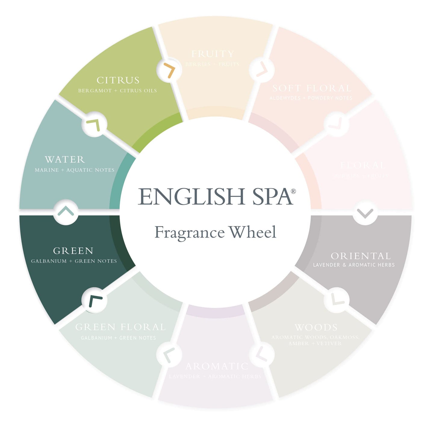 Gilchrist & Soames English Spa Hand Wash - 15.5oz - Citrus and Herbal Notes, Gently Cleansing, Zero Parabens, Sulfates, and Phthalates Beauty & Personal Care Gilchrist & Soames