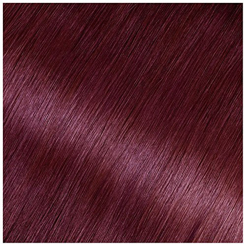 Garnier Olia Ammonia Free Hair Color [5.60] Medium Garnet Red 1 ea Beauty & Personal Care Garnier