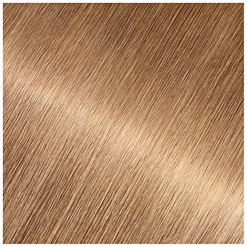 Garnier Olia Ammonia-Free Brilliant Color Oil-Rich Permanent Hair Color, 8.0 Medium Blonde (1 Kit) Blonde Hair Dye (Packaging May Vary) Beauty & Personal Care Garnier