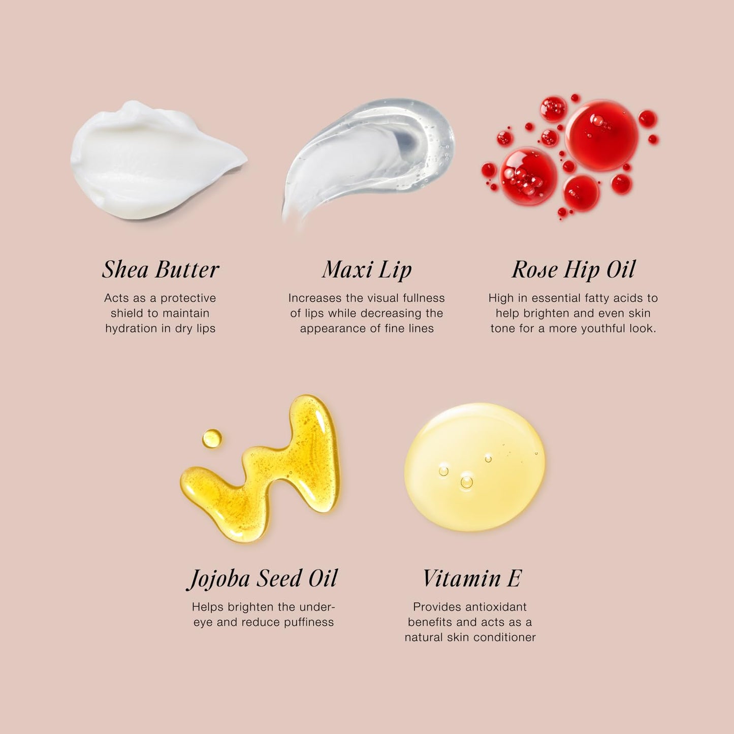 Jouer Bare Rose Collection - Blush Stick, Cream Lip Liner, Lip Plumping Balm Kit - Face Makeup in Rose Shades - Hydrating Formulas for Long Wear Beauty & Personal Care Jouer
