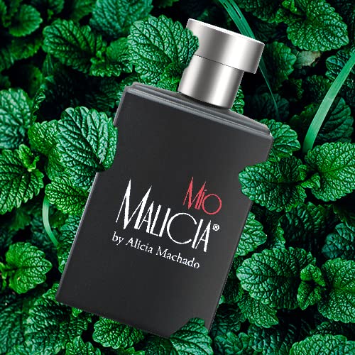 Zermat Mio by Alicia Machado Fragrance for Him - Seductive Woodsy Scent with Mint and Sandalwood Notes Beauty & Personal Care Zermat