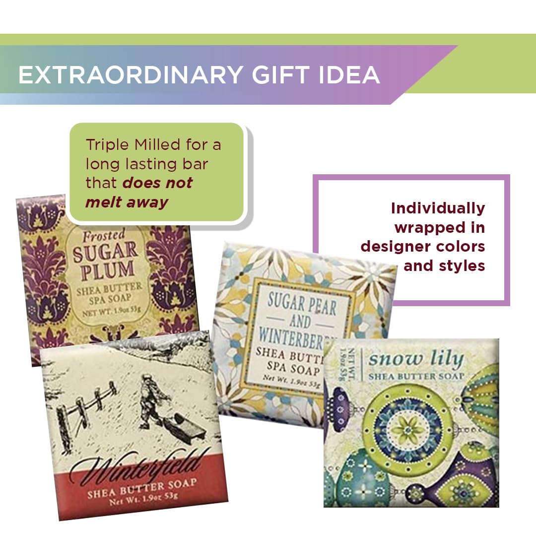 Greenwich Bay Shea Butter Soap Sampler - Boxed Set of 4 Assorted Scents (Christmas Holiday 2) Beauty & Personal Care Greenwich Bay