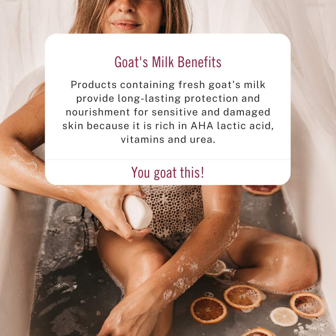 Nature by Canus Goat Milk Body Wash with Shea Butter, silky 16.9 fl oz cleanser for dry skin, fresh Canadian goat milk formula, no parabens Beauty & Personal Care Nature by Canus