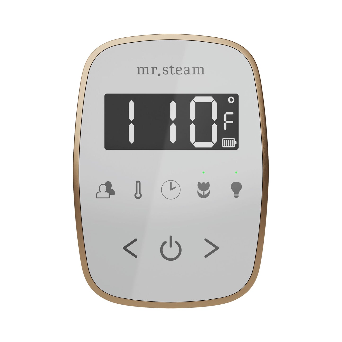 Mr Steam TempoFlex Steam Shower Control and Steamhead in White Matte Black Beauty and Personal Care Mr. Steam