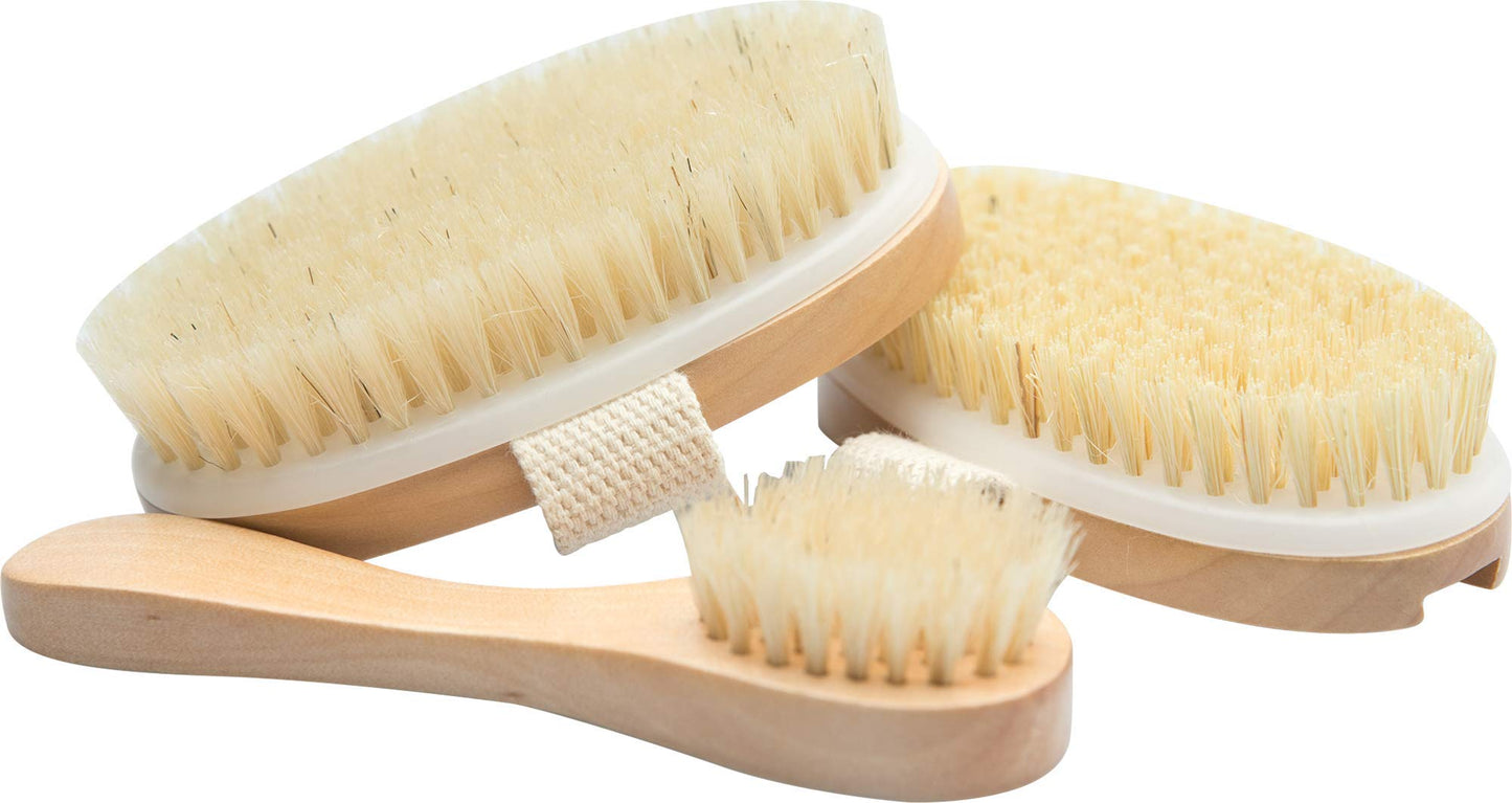 Essential Living: 3-Piece Dry Brushing Spa Kit - 1 Face Brush, 2 Body Scrub Brushes and a Cotton Bag - Body and Skin Care for Exfoliation, Blood Beauty & Personal Care Essential Living
