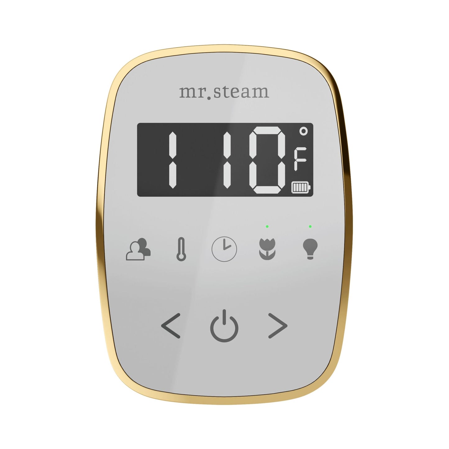 Mr Steam TempoFlex Steam Shower Control and Steamhead in White OilRubBronze Beauty and Personal Care Mr. Steam