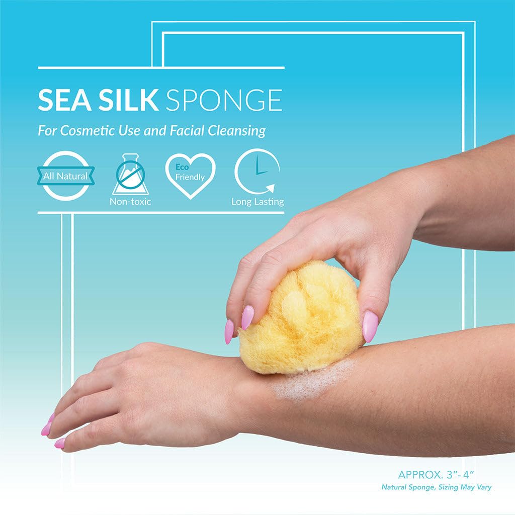 Sea Soft Silk Sponge - for Cosmetic Use, Facial Cleansing, 3-4 inches Beauty & Personal Care Neptune Natural