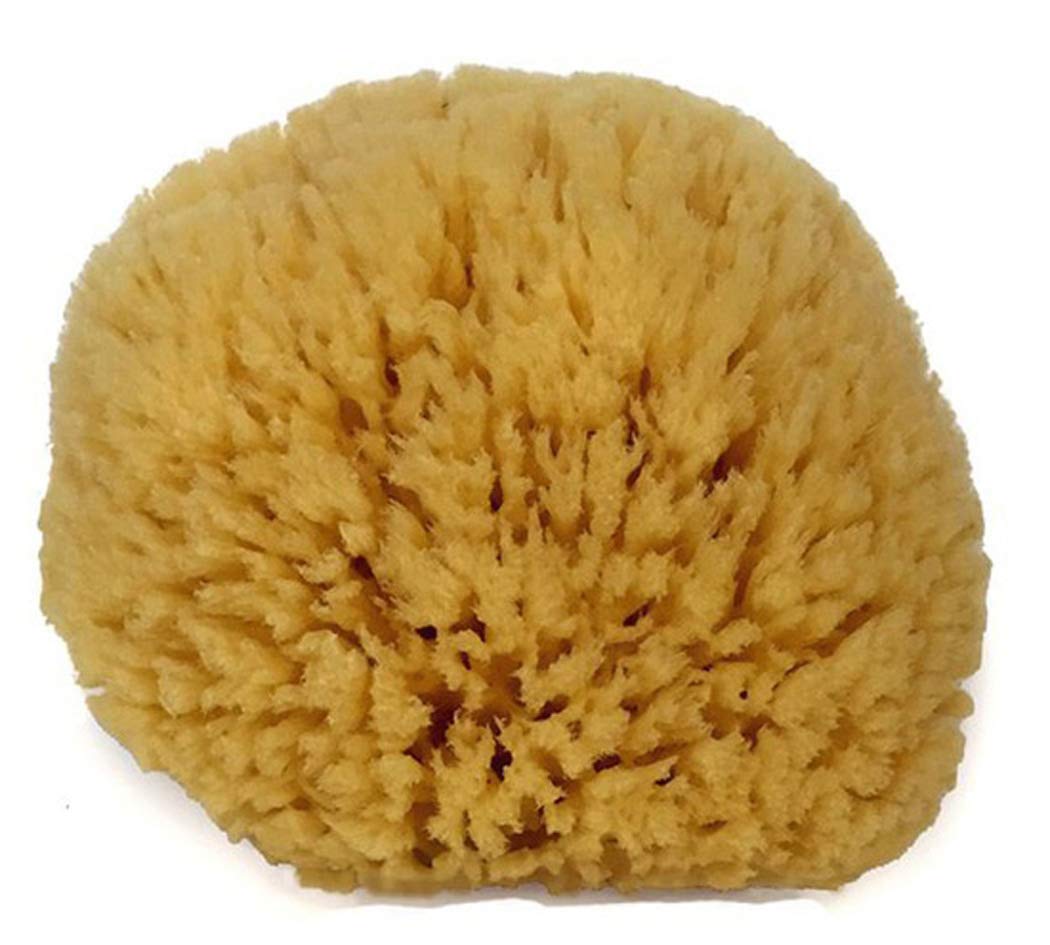 Natural Sea Sponge 6-7" by Spa Destinations Creating The At-Home Spa Experience Beauty and Personal Care Spa Destinations