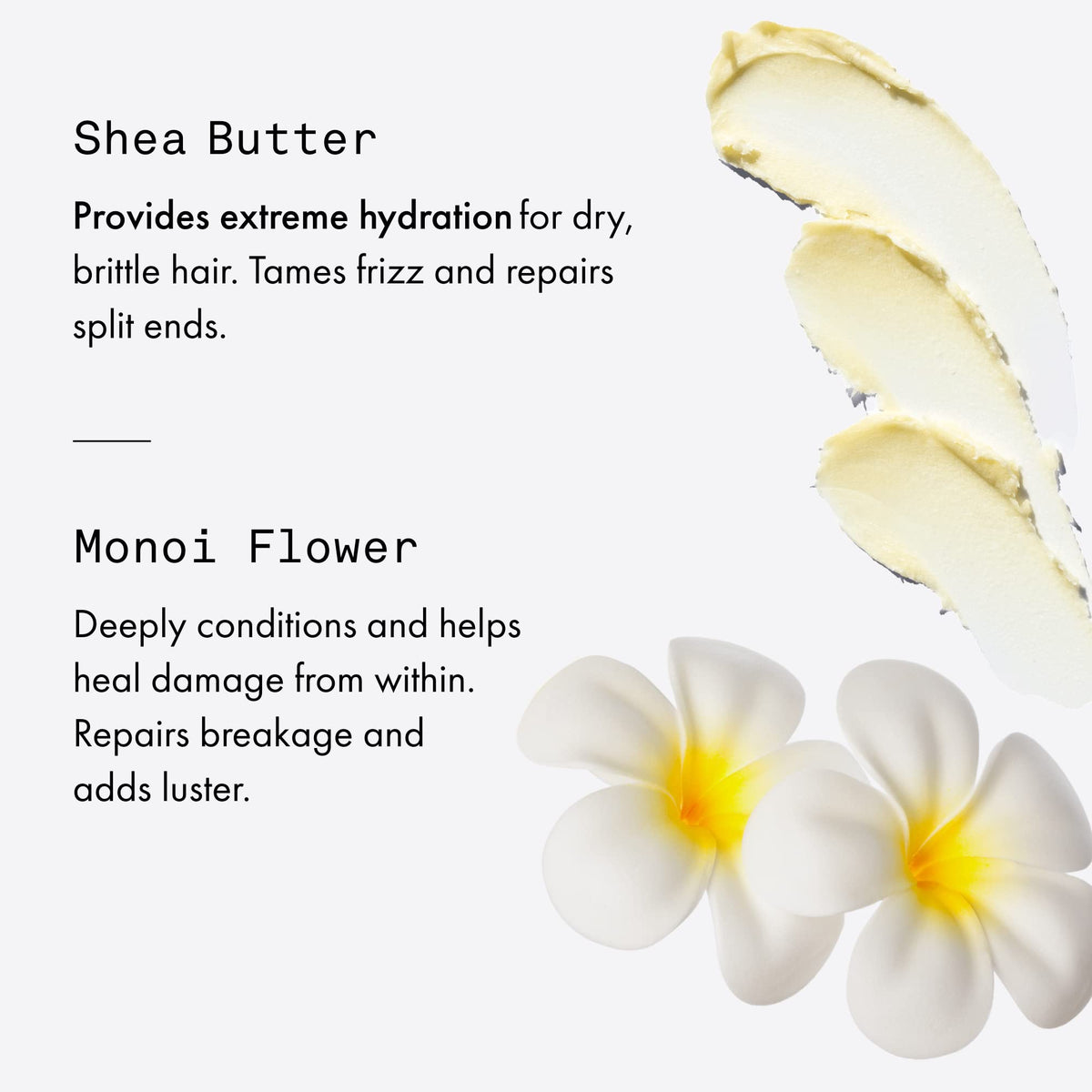 Fekkai Shea Butter Intense Oil For Curly Hair | Moisturizing | Curl and Shine | Hydrate and Repair | Clean, Vegan | Sulfate Free, 1.7oz