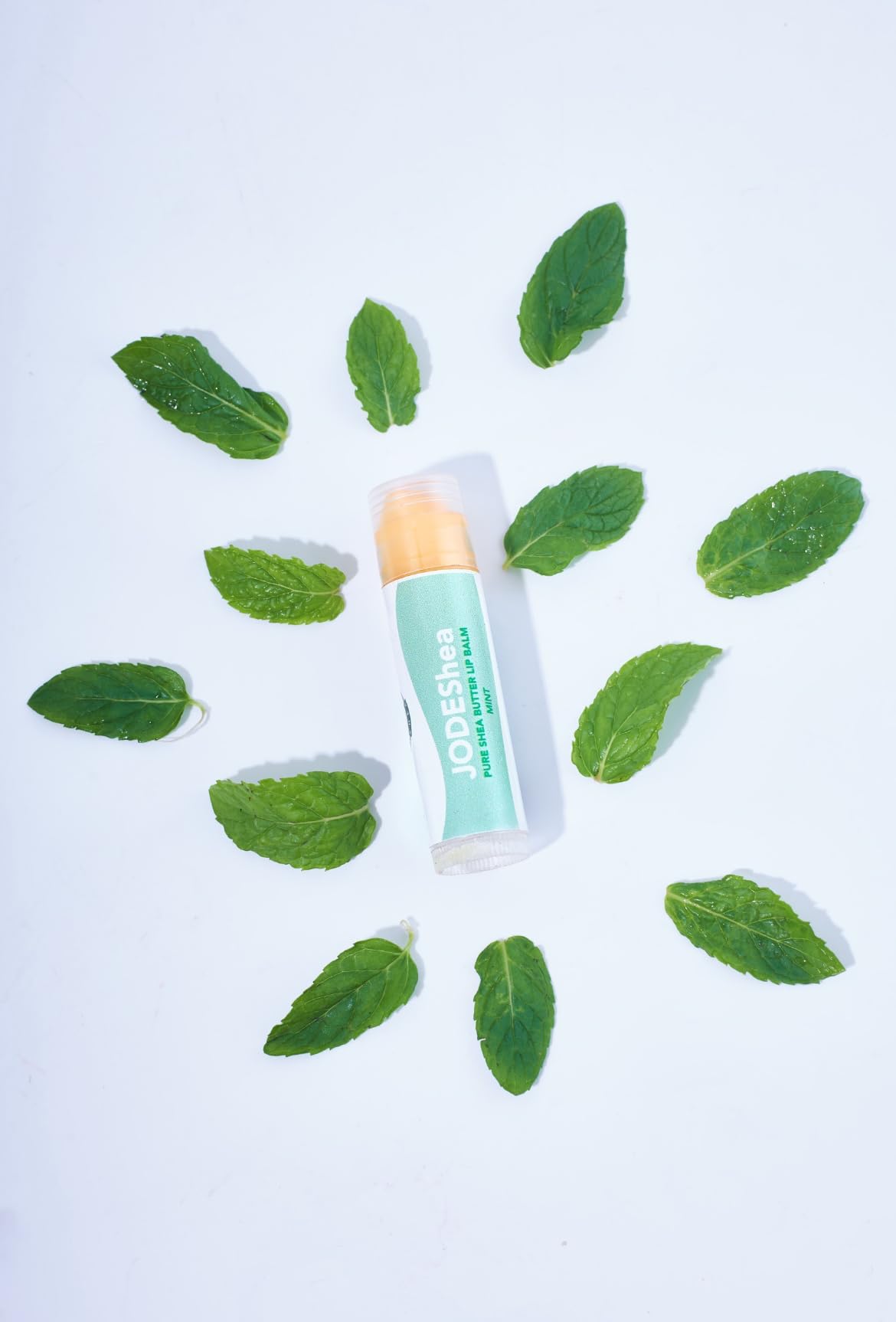 JODEShea Pure Shea Butter Lip Balm, MINT, Natural Soothing Formula Beauty and Personal Care JODEShea
