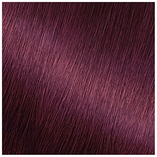 Garnier Nutrisse Nourishing Hair Color Creme, 362 Darkest Berry Burgundy (Packaging May Vary) Beauty & Personal Care Garnier