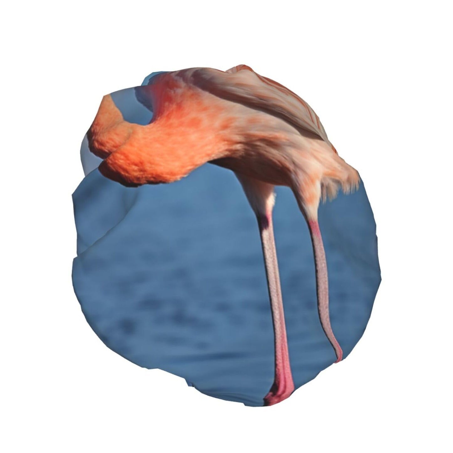 Flamingo In Water Ripple Shower Cap For Women Reusable Double Layers Bathing Bath Cap Hair Caps Waterproof Elastic Band Ladies Spa Salon Shower Hat Beauty and Personal Care GDSHJKLW