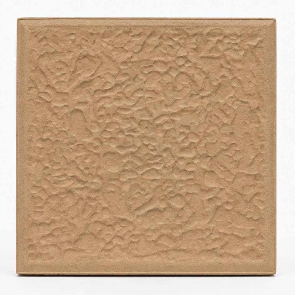 3dRose Golden accented vines and pretty multi colored butterfly - Ceramic Tile, 6-inch (ct_167212_2) Beauty and Personal Care 3dRose