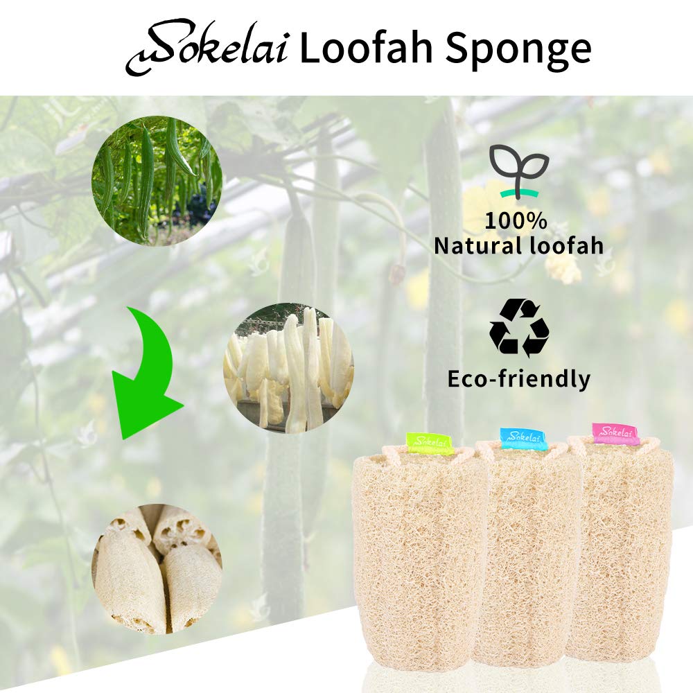 Natural Loofah Sponge - Exfoliating Body Scrubber for Shower Scrubbing, Organic Luffa Sponges, Egyptian Real Loofa, Bath Shower Puff for Bathing, Spa Beauty & Personal Care wokelai