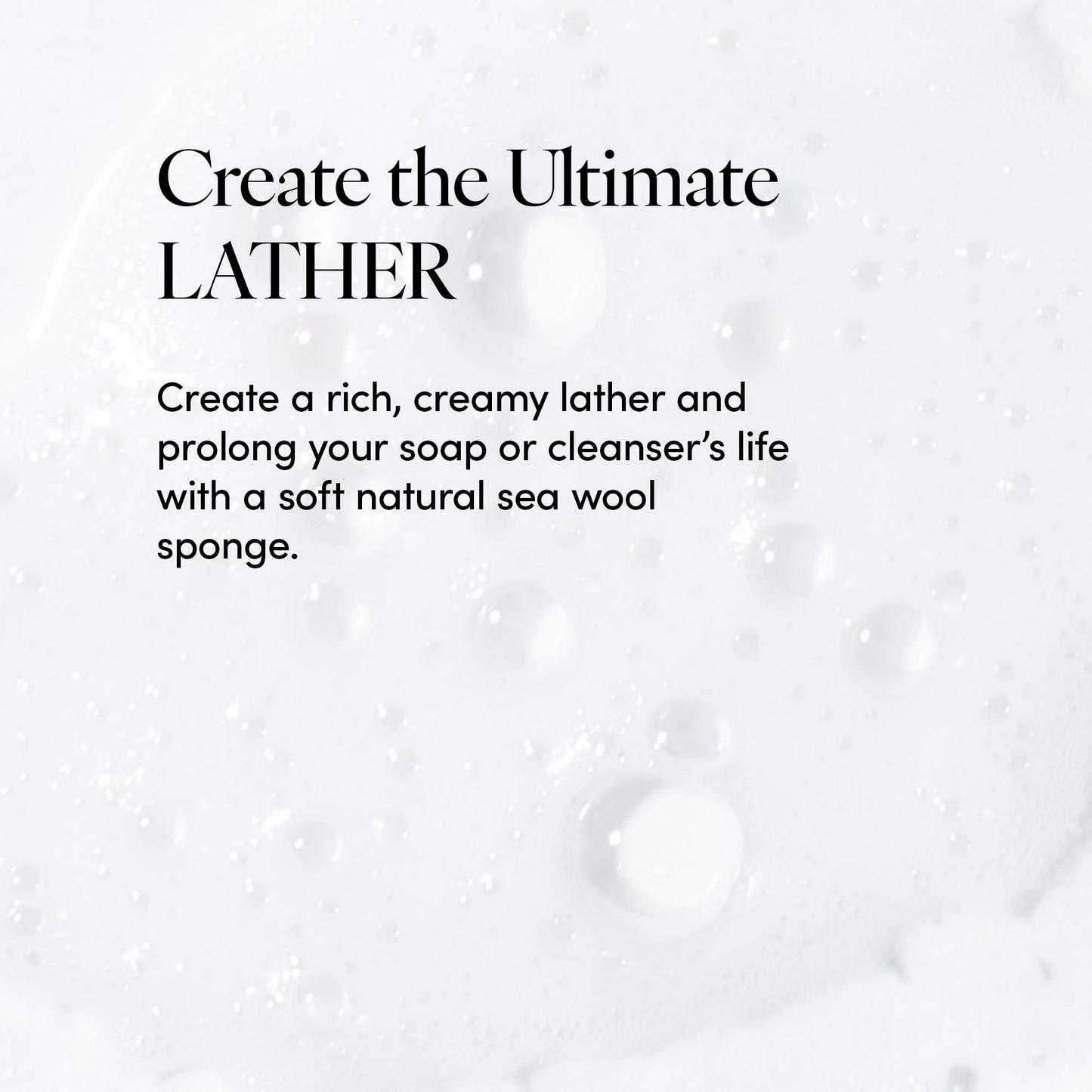 LATHER - Natural Sea Wool Sponge, 5-6" - Organic Exfoliating Body Scrubber - Soft, Gentle Cleansing - Hypoallergenic - All Skin Types - Florida Beauty & Personal Care LATHER