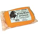 Sponge Body Square FSB2 Beauty & Personal Care Hydra Sponge
