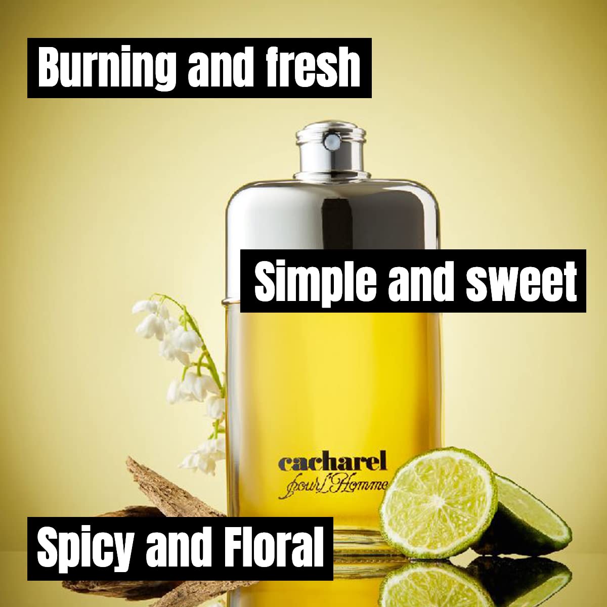 Cacharel Pour L'Homme Eau de Toilette Cologne for Men, Woody, Spicy and Floral Fragrance, Notes of Bergamot, Lily of the Valley Accord and Cedar Wood Beauty & Personal Care Cacharel