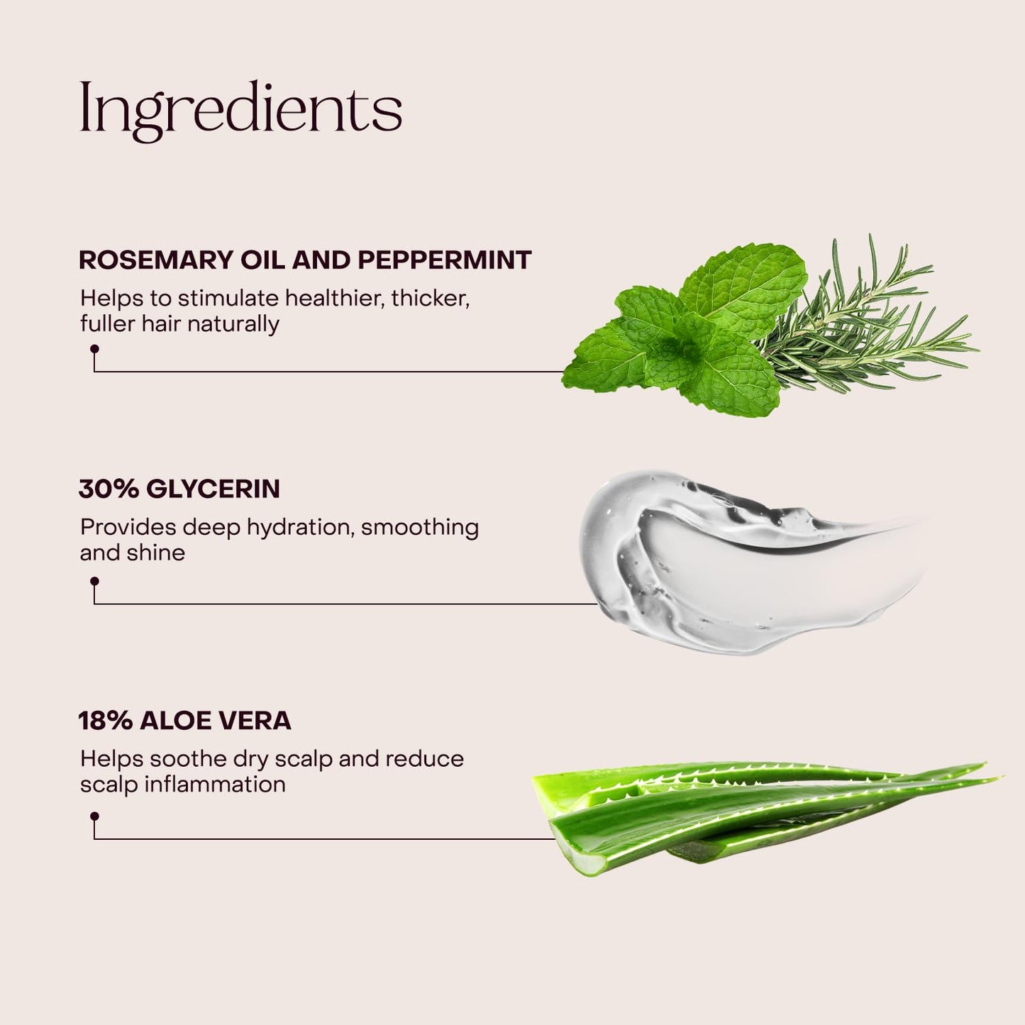 Everist The Haircare Essentials Duo, Shampoo & Deep Conditioner, Repairs Hair, Ideal for Sensitive Scalp, Hydrating and Smoothing, Plant-based Beauty & Personal Care Everist