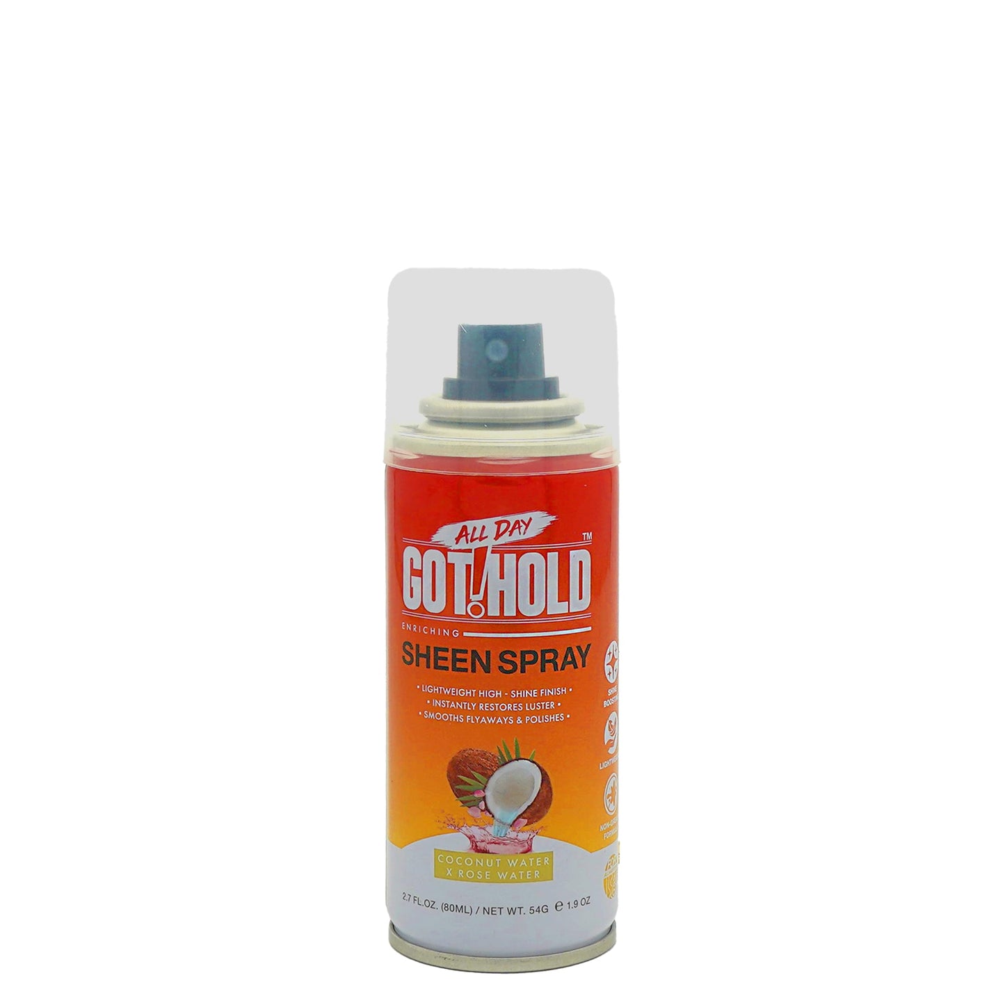 ALL DAY GOT HOLD Hair Styling Sheen Spray 2.7 fl.oz/80ml Beauty & Personal Care ALL DAY GOT HOLD