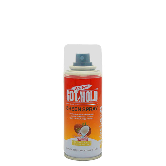 ALL DAY GOT HOLD Hair Styling Sheen Spray 2.7 fl.oz/80ml Beauty & Personal Care ALL DAY GOT HOLD