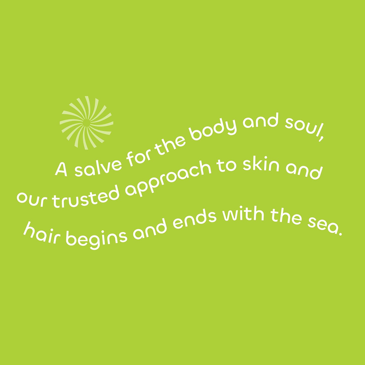 Seaweed Bath Co. Melt-In Water Lotion, Sea Salt Bergamot Scent, 4 Ounce, Sustainably Harvested Seaweed, Sea Grape, Beta-Glucan Beauty & Personal Care The Seaweed Bath Co.