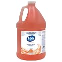 Dial Professional Original Antibacterial Defense Foaming Hand Wash, 1 Gallon Refill Bottle, 128 Fl Oz Beauty & Personal Care Dial