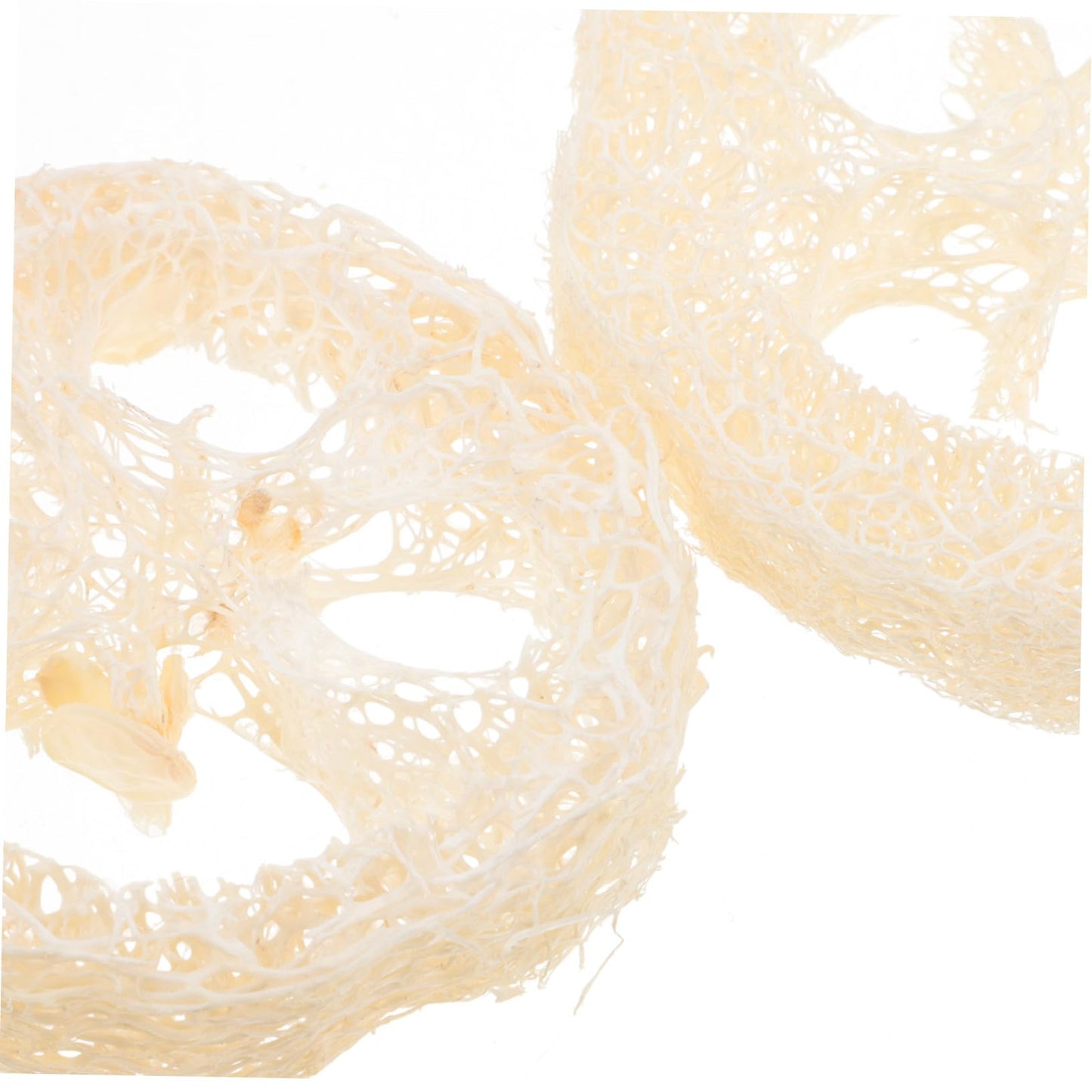 Beaupretty 5pcs Loofah Soap Holder Tray Natural Loofah Bath Scrubber for Shower Kitchen and Bathroom Prevents Soap Softening Absorbent and Breathable Beauty and Personal Care Beaupretty