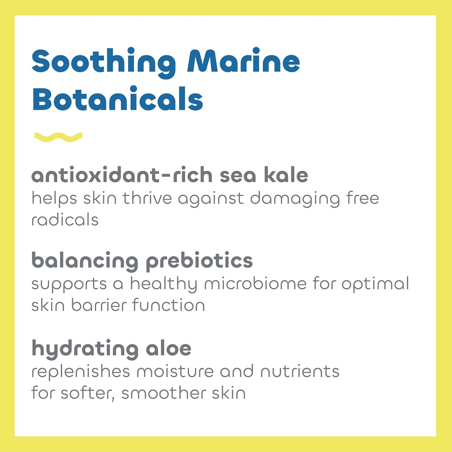 Seaweed Bath Co. Everyday Mineral SPF 40 Broad Spectrum Sunscreen Lotion, 3.4 Ounce, Sustainably Harvested Seaweed, Sea Kale, Prebiotics Beauty & Personal Care The Seaweed Bath Co.