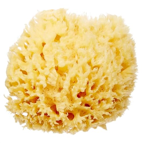 HartFelt Delicate Skin Wool Sea Sponge 4 in | Real Natural Sponges for Body and Face Gentle Care | Luxurious Lather Beauty & Personal Care HartFelt