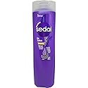 Sedal Liso Perfecto Shampoo 340 ml [SEALED] Beauty & Personal Care Sedal